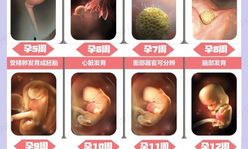 产后总出汗怎么办、产后特别会出汗是怎么回事啊女性 -产后特别会出汗是怎么回事啊网