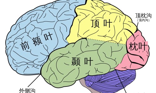 产后总出汗怎么办、产后特别会出汗是怎么回事啊女性 -产后特别会出汗是怎么回事啊网